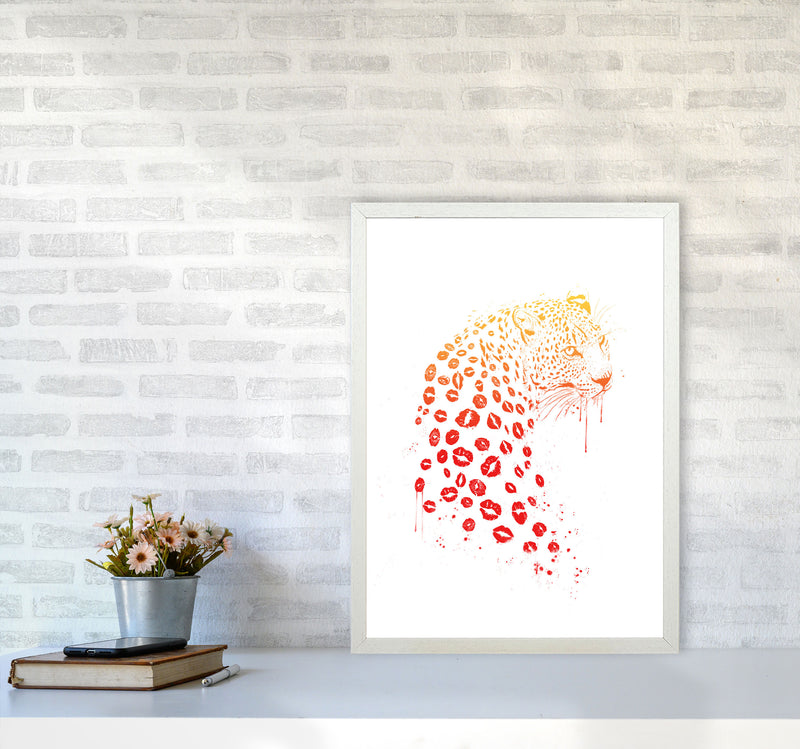 Kiss Me Leopard Animal Art Print by Balaz Solti A2 Oak Frame