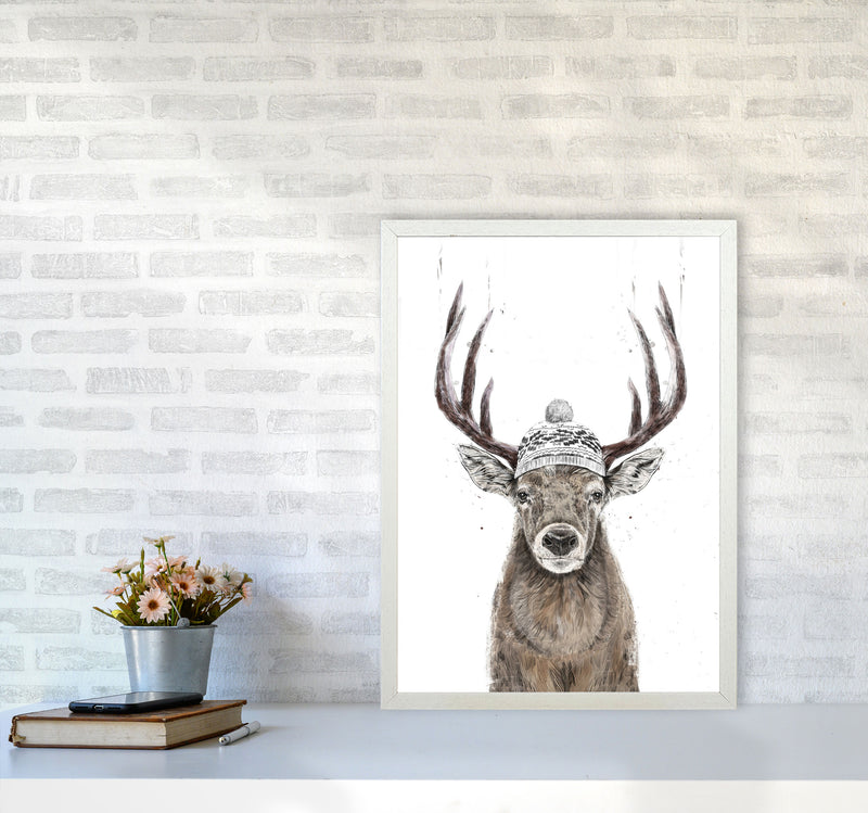 Lets Go Outside Reindeer Animal Art Print by Balaz Solti A2 Oak Frame