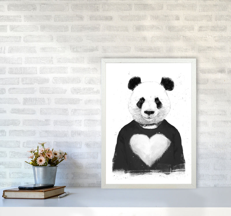 Lovely Panda Animal Art Print by Balaz Solti A2 Oak Frame