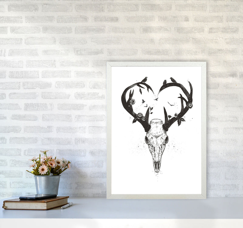 Never-ending Love Deer Skull B&W Animal Art Print by Balaz Solti A2 Oak Frame