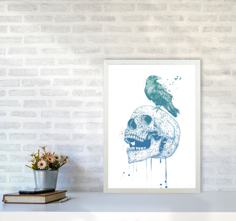 Skull & Raven Colour Animal Art Print by Balaz Solti A2 Oak Frame