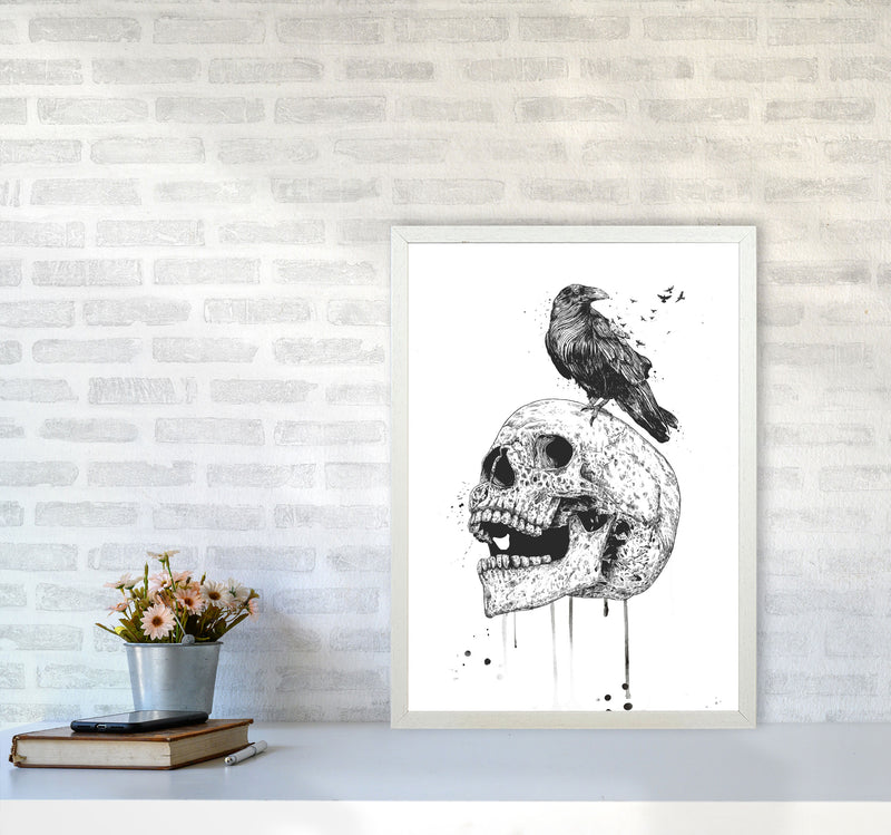 Skull & Raven B&W Animal Art Print by Balaz Solti A2 Oak Frame