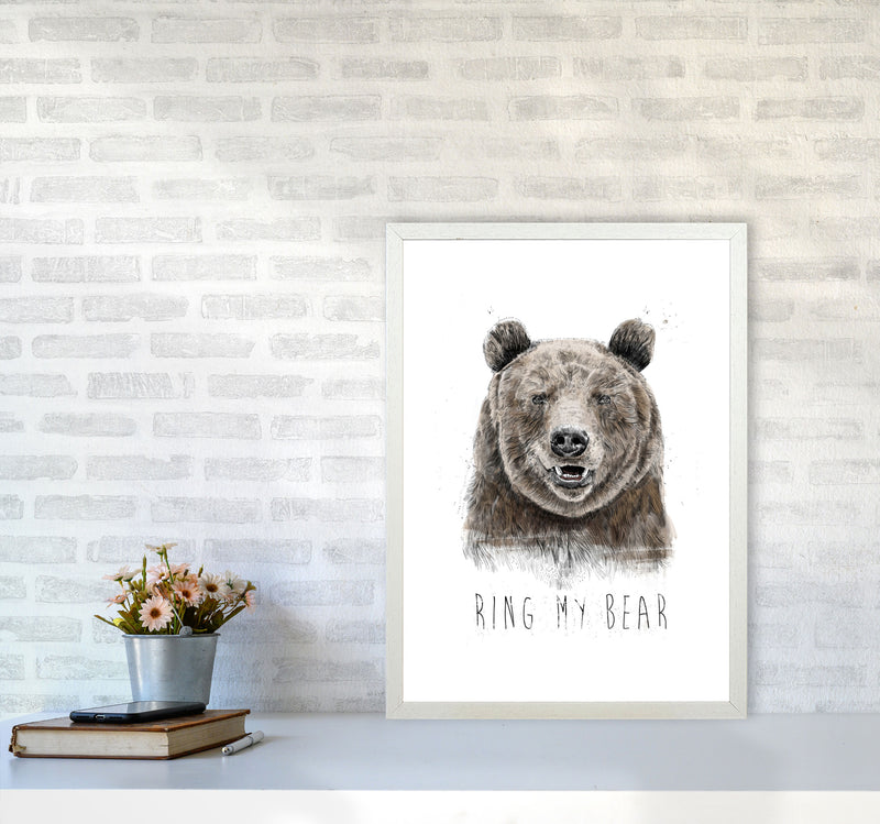 Ring My Bear Animal Art Print by Balaz Solti A2 Oak Frame