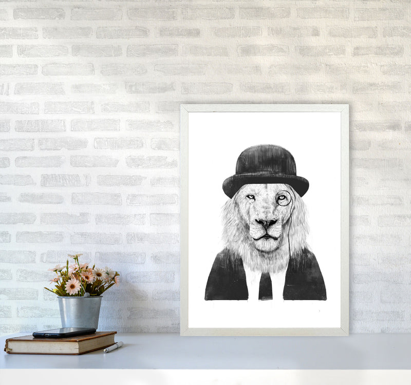 Sir Lion Animal Art Print by Balaz Solti A2 Oak Frame