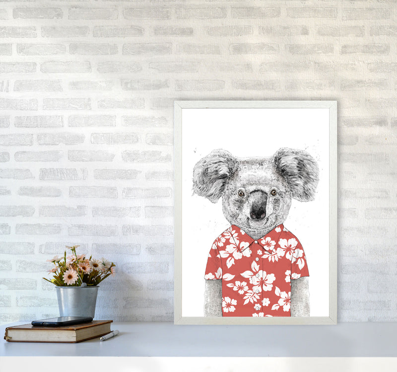 Summer Koala Red Animal Art Print by Balaz Solti A2 Oak Frame