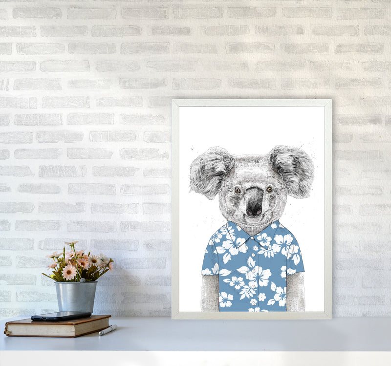 Summer Koala Blue Animal Art Print by Balaz Solti A2 Oak Frame