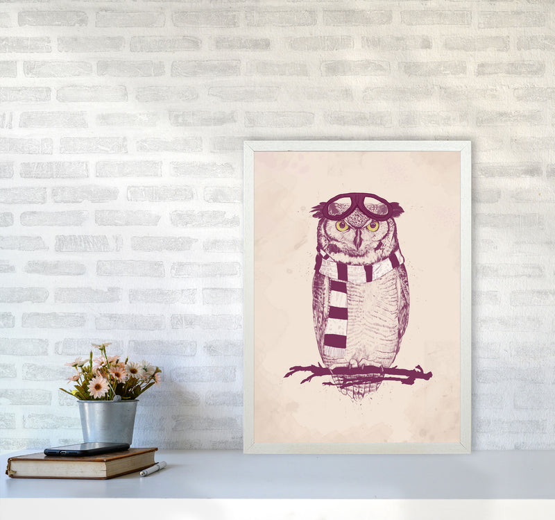 The Aviator Owl Animal Art Print by Balaz Solti A2 Oak Frame