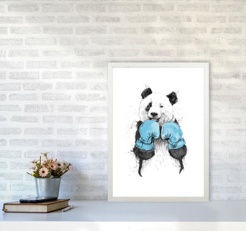 The Winner Boxing Panda Animal Art Print by Balaz Solti A2 Oak Frame