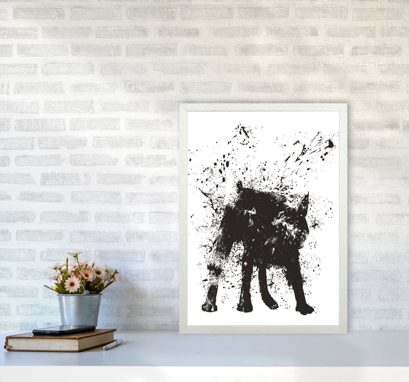 Wet Dog Animal Art Print by Balaz Solti A2 Oak Frame