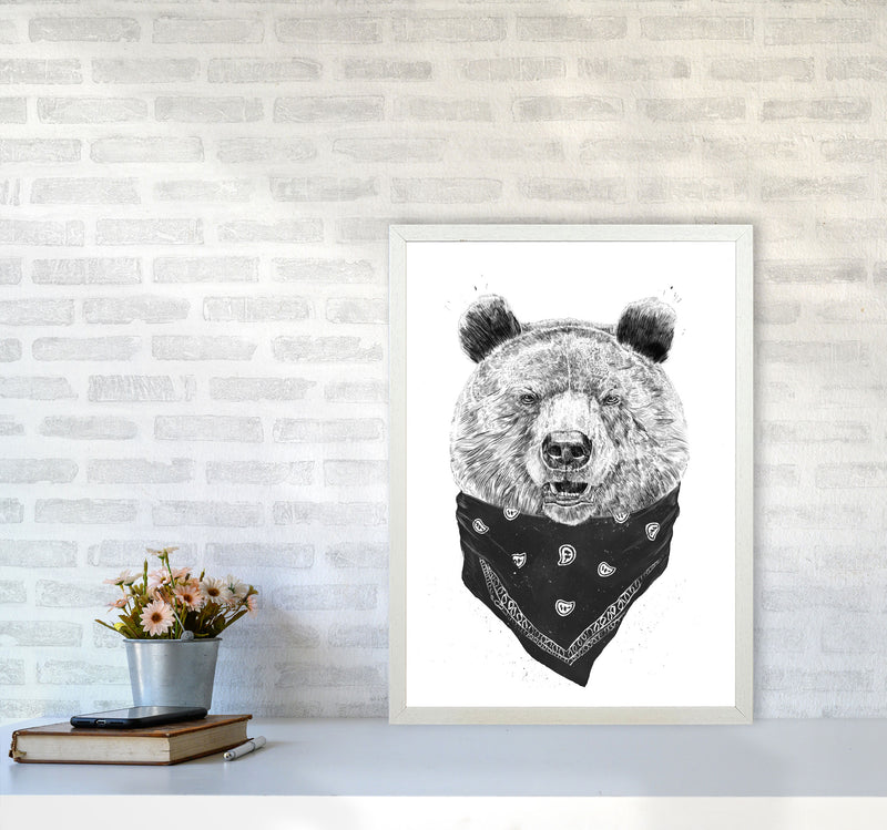 Wild Bear Animal Art Print by Balaz Solti A2 Oak Frame