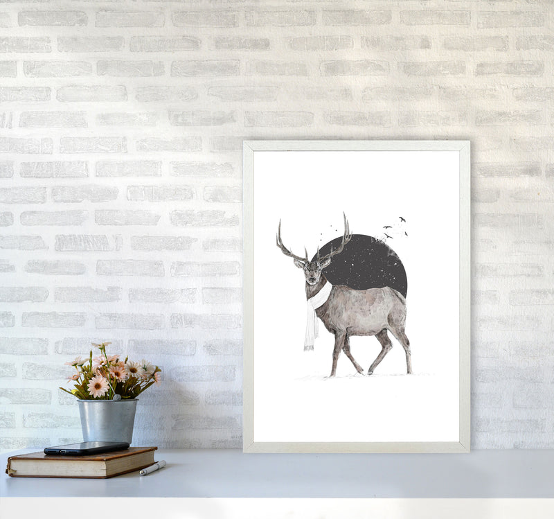 Winter Is All Around Stag Colour Animal Art Print by Balaz Solti A2 Oak Frame