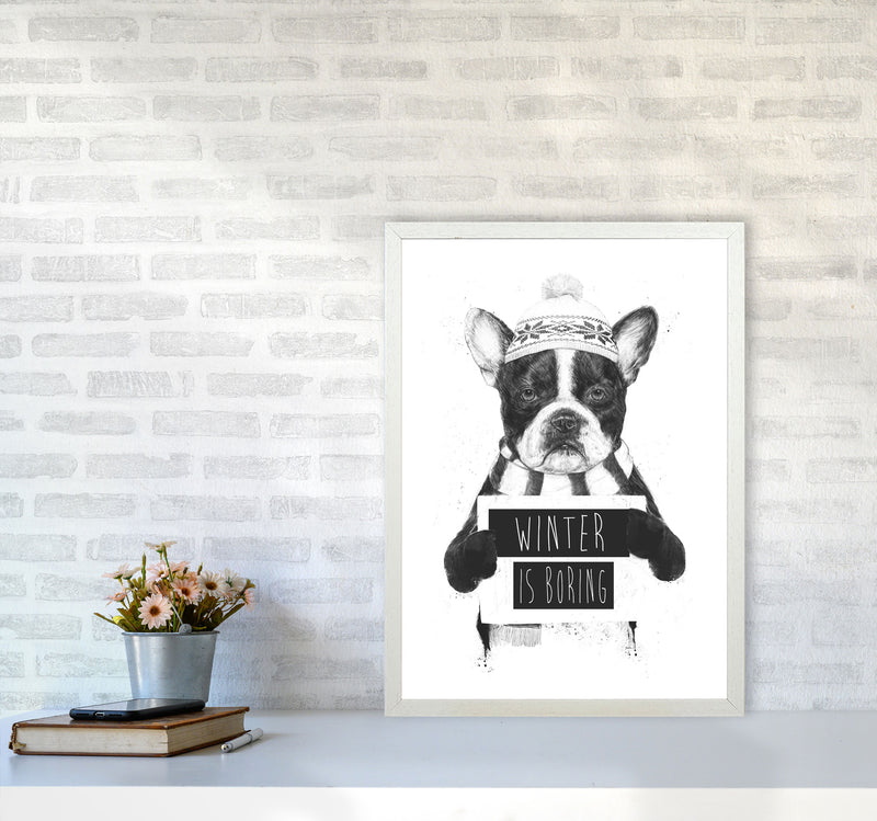 Winter Is Boring Animal Art Print by Balaz Solti A2 Oak Frame
