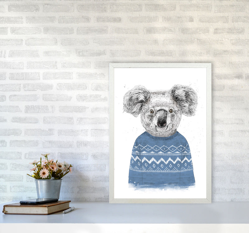Winter Koala Blue Animal Art Print by Balaz Solti A2 Oak Frame