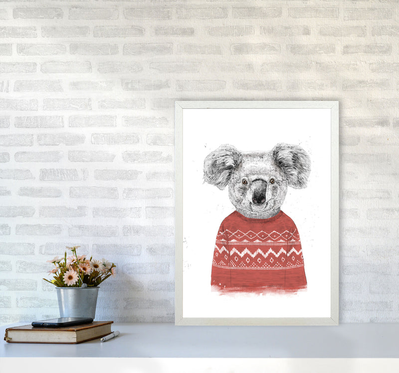 Winter Koala Red Animal Art Print by Balaz Solti A2 Oak Frame