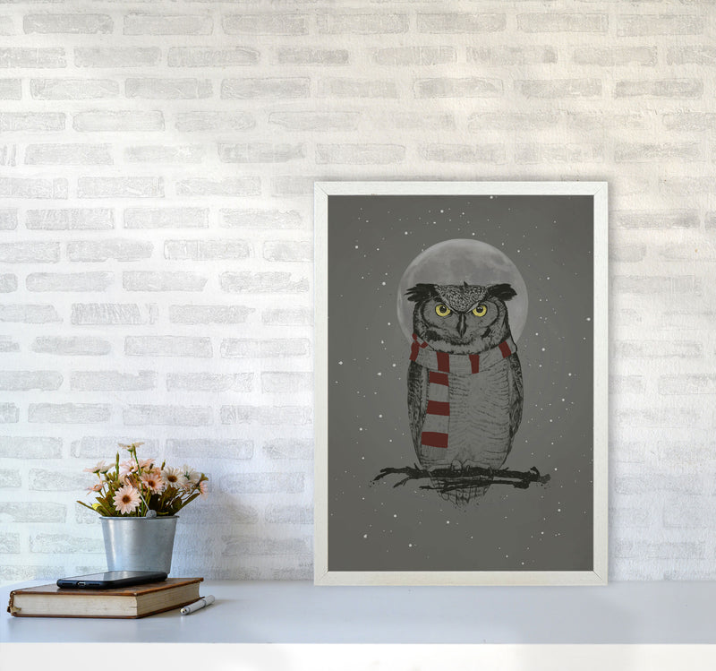 Winter Owl Animal Art Print by Balaz Solti A2 Oak Frame