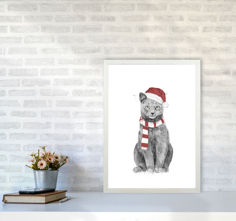 Christmas Cat Animal Art Print by Balaz Solti A2 Oak Frame