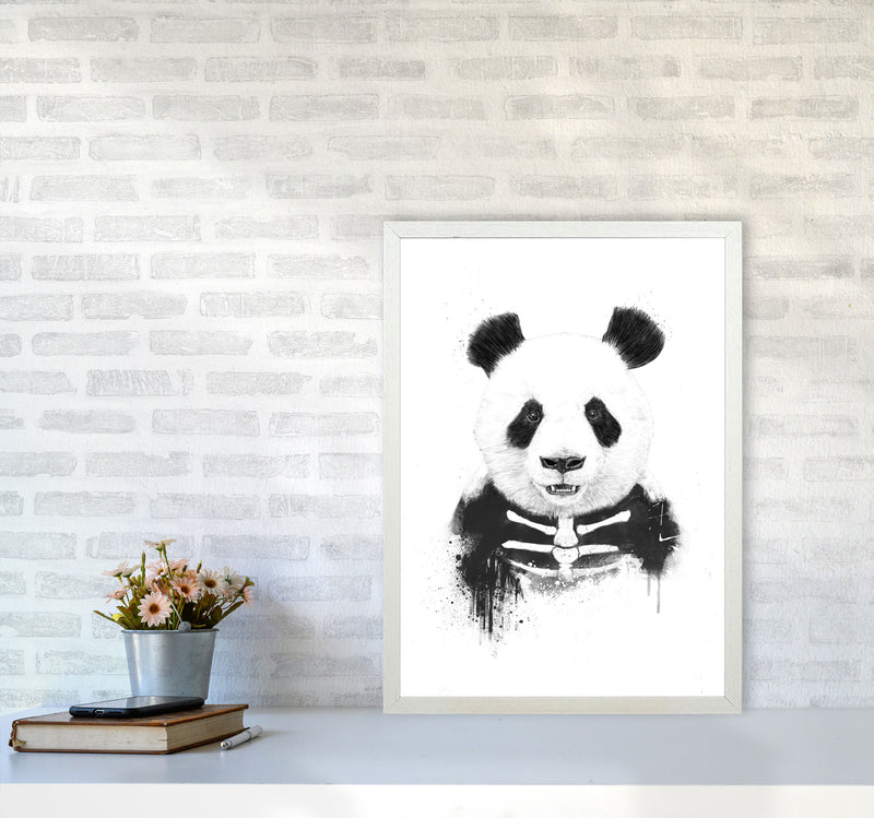 Zombie Panda Animal Art Print by Balaz Solti A2 Oak Frame
