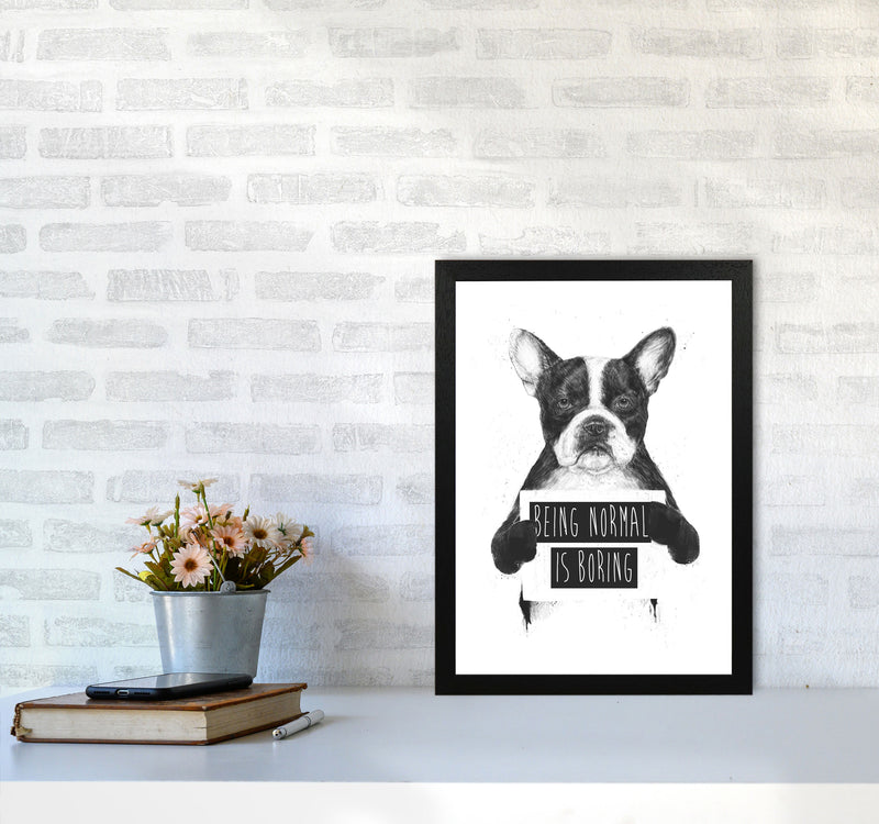 Being Normal Is Boring Animal Art Print by Balaz Solti A3 White Frame