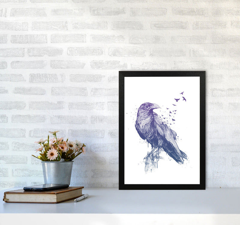 Born To Be Free Raven Animal Art Print by Balaz Solti A3 White Frame
