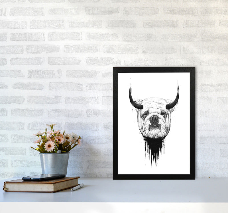 Bulldog Horns Animal Art Print by Balaz Solti A3 White Frame