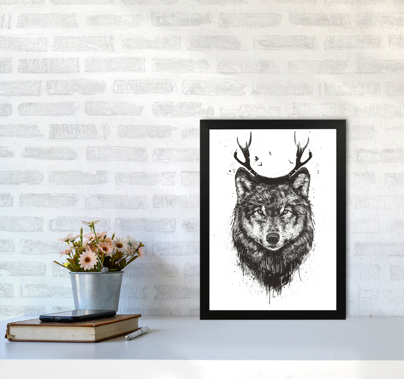 Deer Wolf B&W Animal Art Print by Balaz Solti A3 White Frame