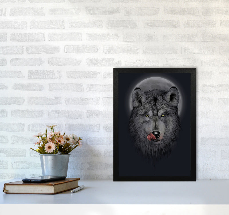 Dinner Time Wolf Night Animal Art Print by Balaz Solti A3 White Frame