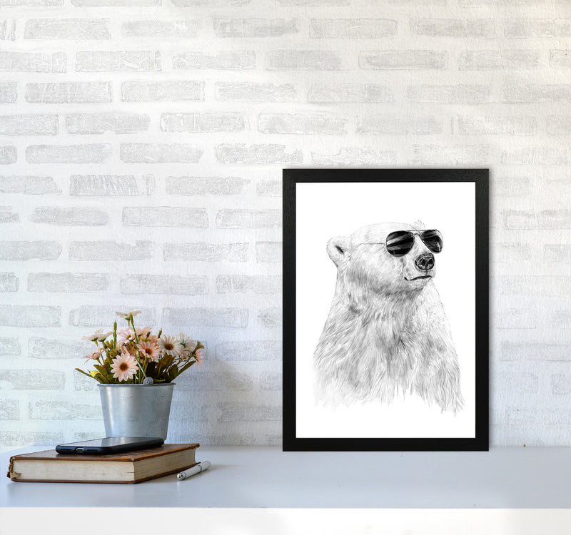 Don't Let The Sun Go Down Bear Animal Art Print by Balaz Solti A3 White Frame