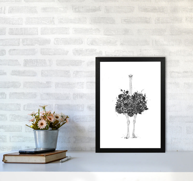 Floral Ostrich Animal Art Print by Balaz Solti A3 White Frame