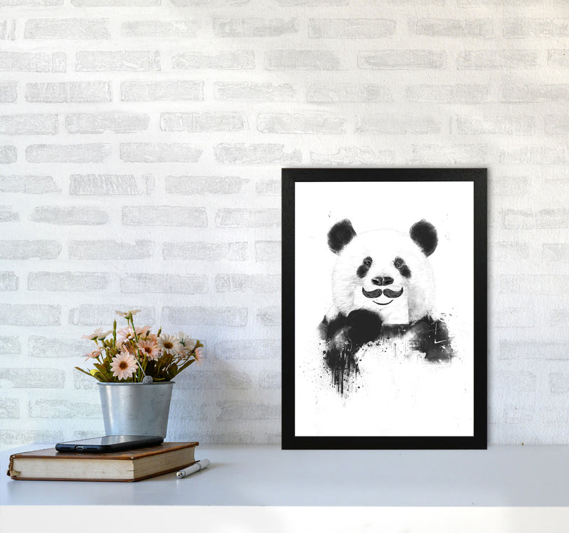 Funny Panda Animal Art Print by Balaz Solti A3 White Frame