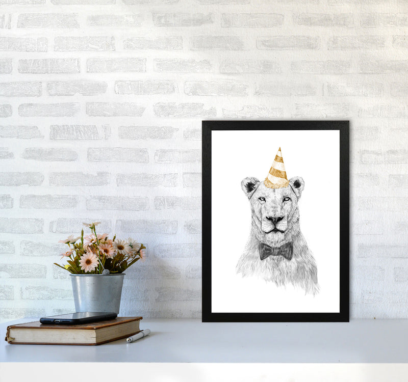 Get The Party Started Lion Colour Animal Art Print by Balaz Solti A3 White Frame