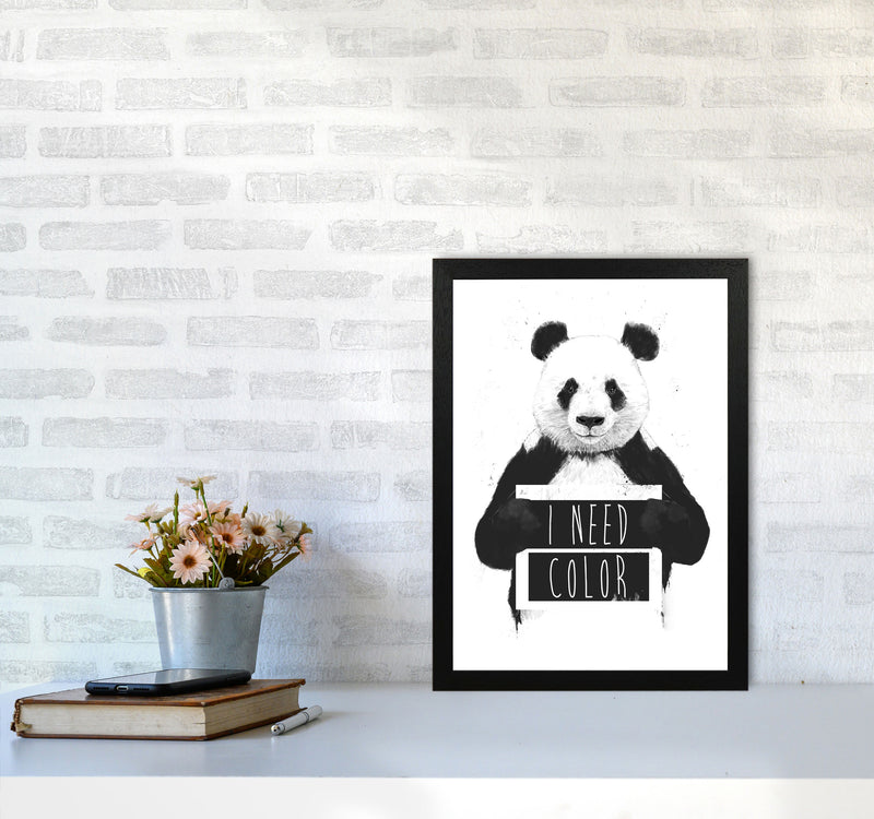 I Need Colour Panda Animal Art Print by Balaz Solti A3 White Frame