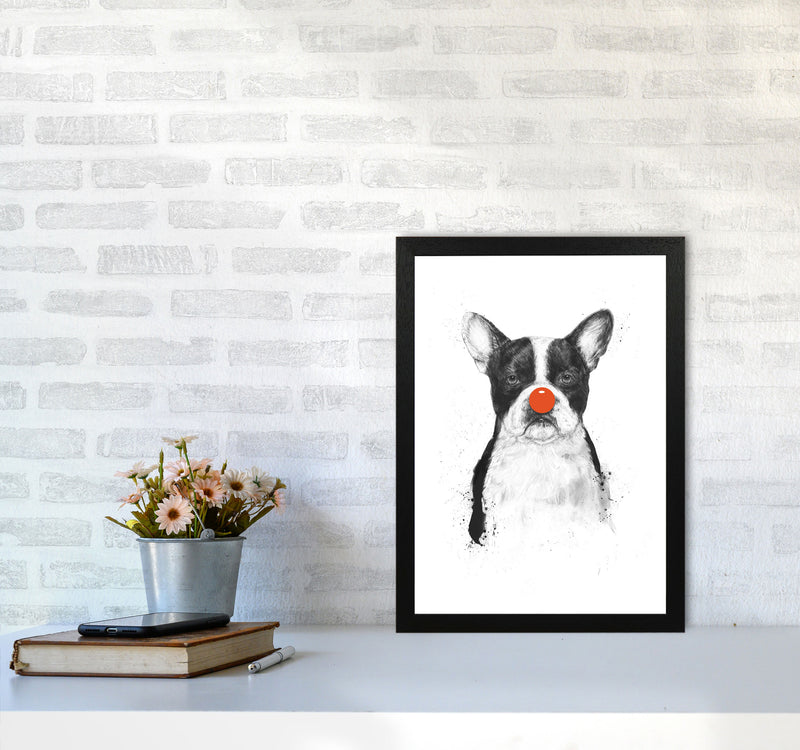 I'm Not Your Clown Bulldog Animal Art Print by Balaz Solti A3 White Frame