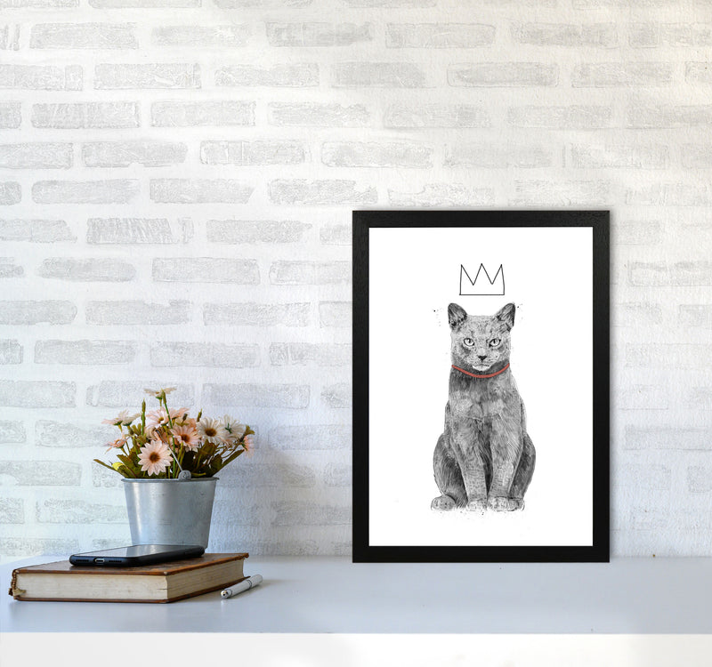 King Of Everything Animal Art Print by Balaz Solti A3 White Frame