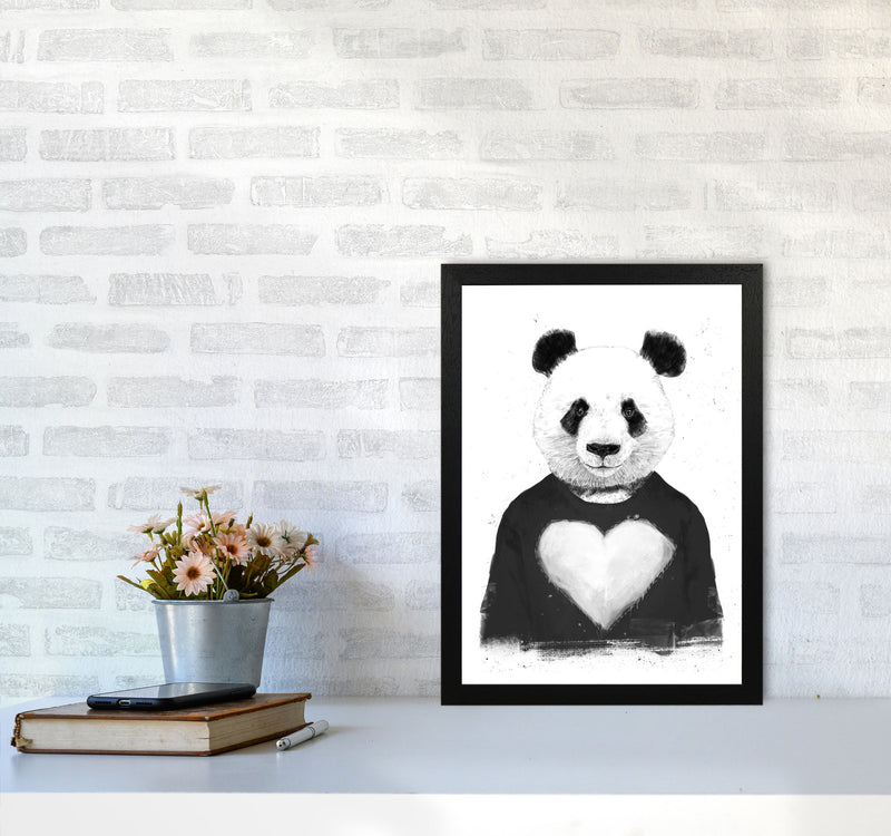 Lovely Panda Animal Art Print by Balaz Solti A3 White Frame