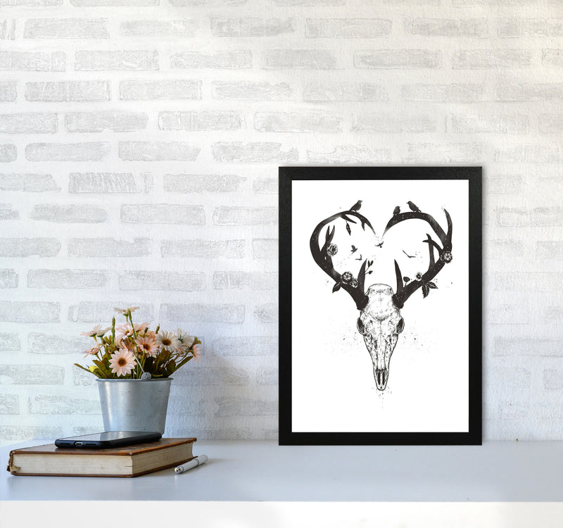 Never-ending Love Deer Skull B&W Animal Art Print by Balaz Solti A3 White Frame