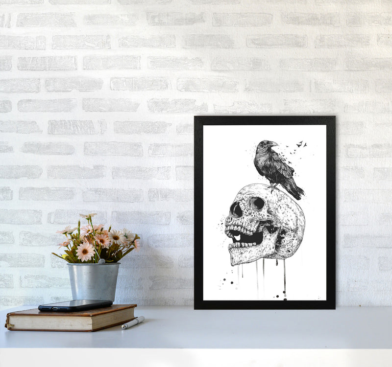 Skull & Raven B&W Animal Art Print by Balaz Solti A3 White Frame