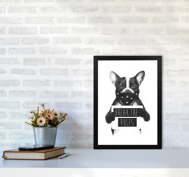 Rebel Bulldog Animal Art Print by Balaz Solti A3 White Frame