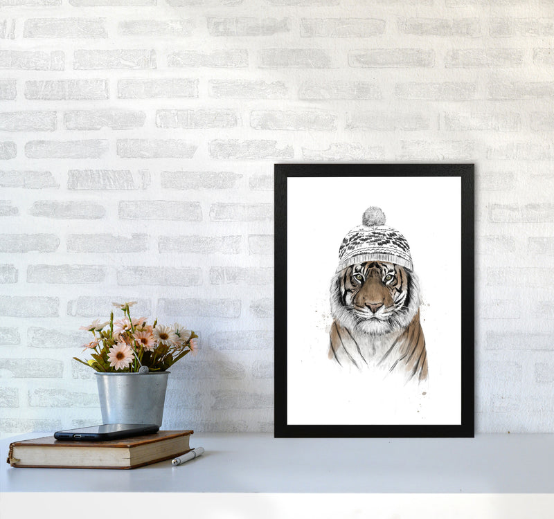 Siberian Tiger Animal Art Print by Balaz Solti A3 White Frame