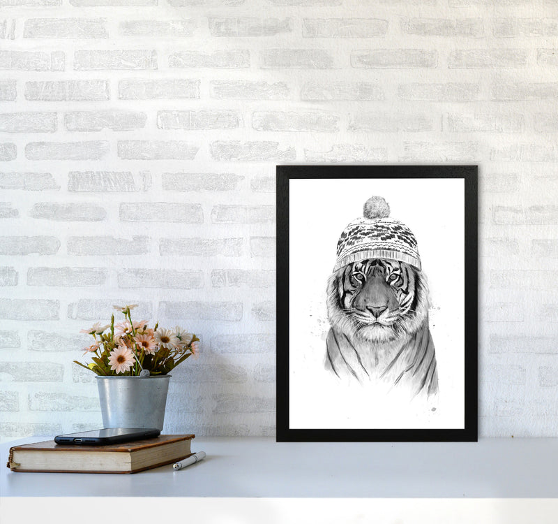 Siberian Tiger B&W Animal Art Print by Balaz Solti A3 White Frame
