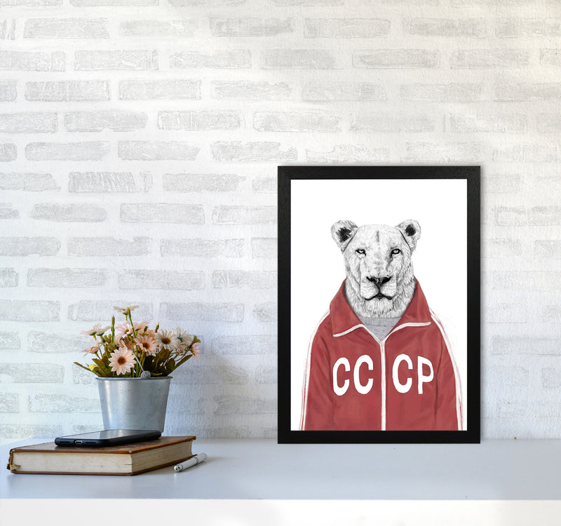 Soviet Lion Animal Art Print by Balaz Solti A3 White Frame