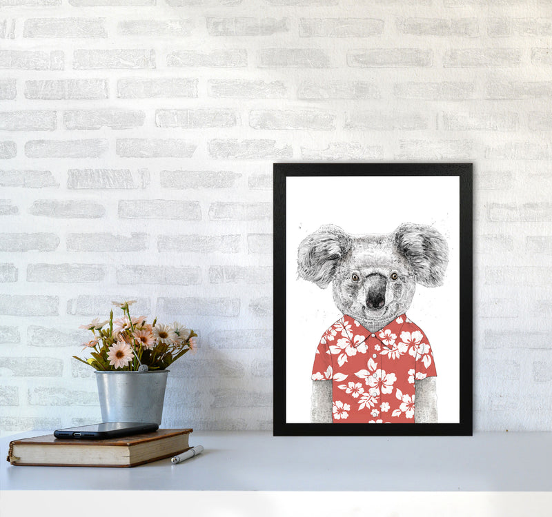 Summer Koala Red Animal Art Print by Balaz Solti A3 White Frame