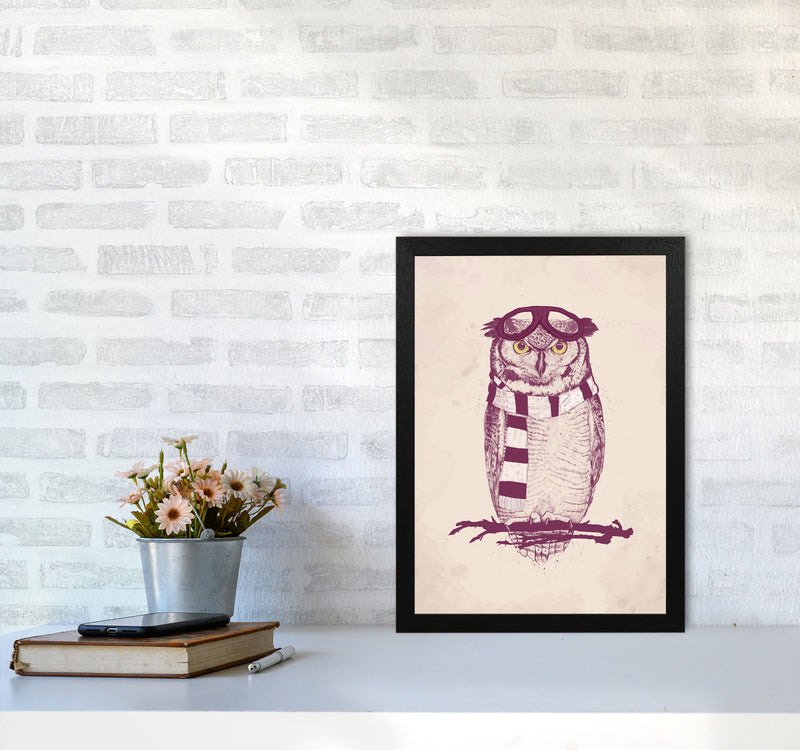 The Aviator Owl Animal Art Print by Balaz Solti A3 White Frame