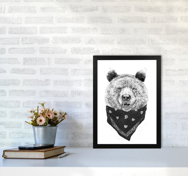 Wild Bear Animal Art Print by Balaz Solti A3 White Frame