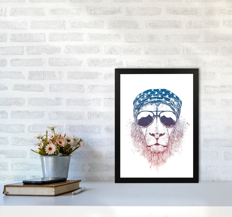 Wild Lion Colour Animal Art Print by Balaz Solti A3 White Frame