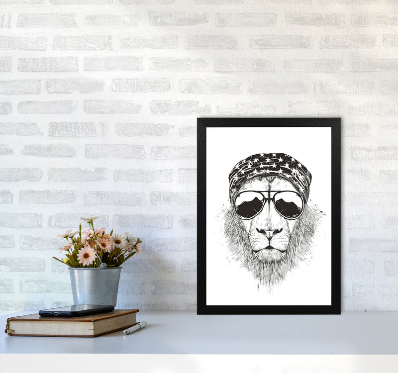 Wild Lion B&W Animal Art Print by Balaz Solti A3 White Frame