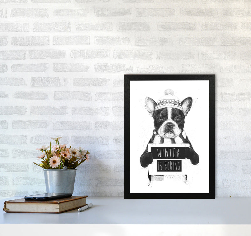 Winter Is Boring Animal Art Print by Balaz Solti A3 White Frame