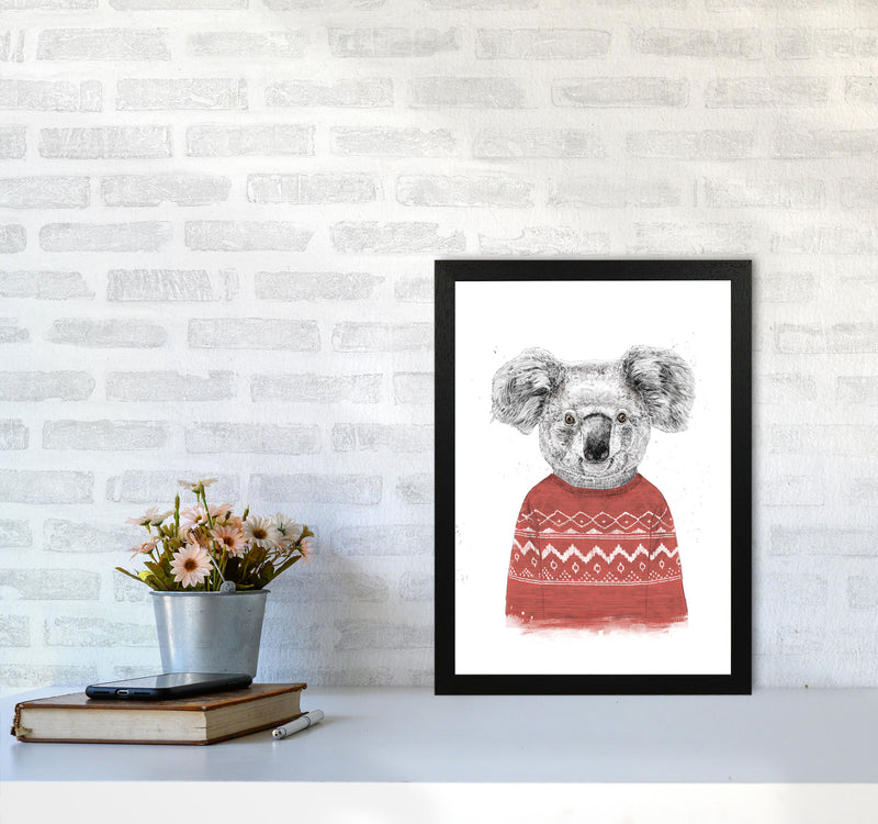 Winter Koala Red Animal Art Print by Balaz Solti A3 White Frame