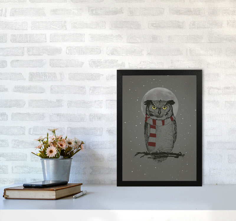 Winter Owl Animal Art Print by Balaz Solti A3 White Frame