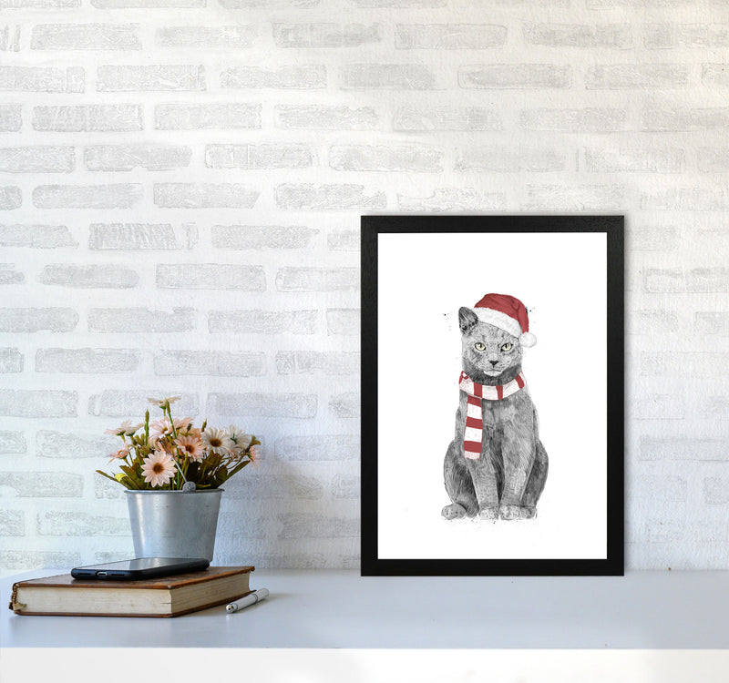 Christmas Cat Animal Art Print by Balaz Solti A3 White Frame