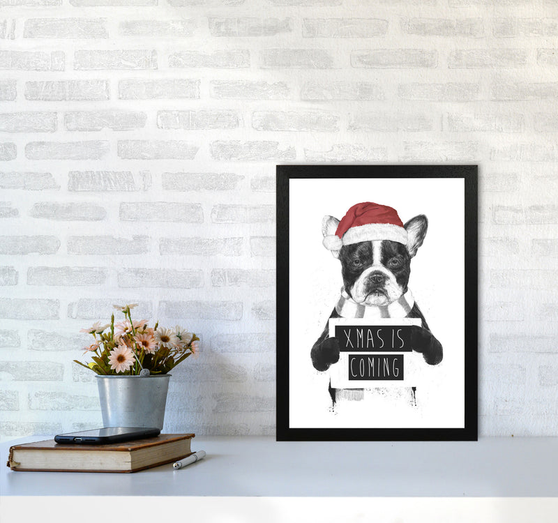 Xmas Is Coming Animal Art Print by Balaz Solti A3 White Frame